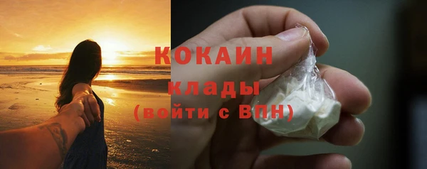прущий лед Алзамай