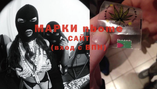 прущий лед Алзамай
